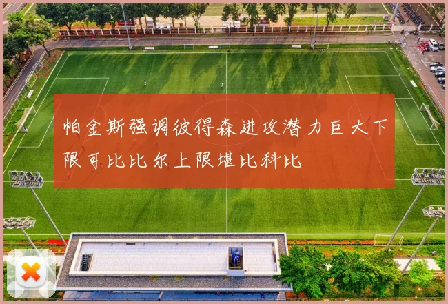 帕金斯强调彼得森进攻潜力巨大下限可比比尔上限堪比科比