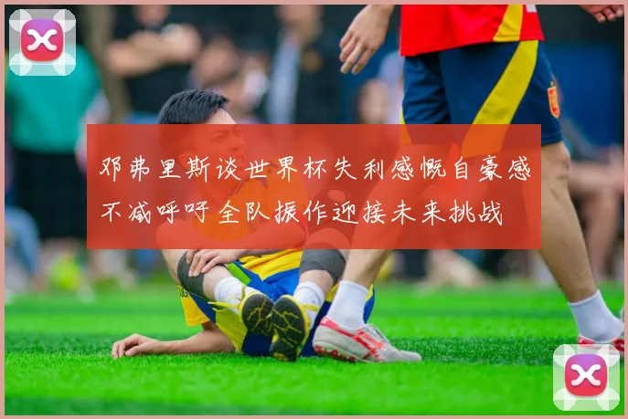 邓弗里斯谈世界杯失利感慨自豪感不减呼吁全队振作迎接未来挑战