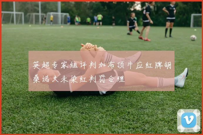 英超专家组评判加布顶牛应红牌胡桑诺夫未染红判罚合理